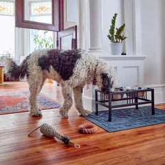 Orvis Bowls, Feeders & Food Storage | Black Steel Raised Double Feeder - Dogs