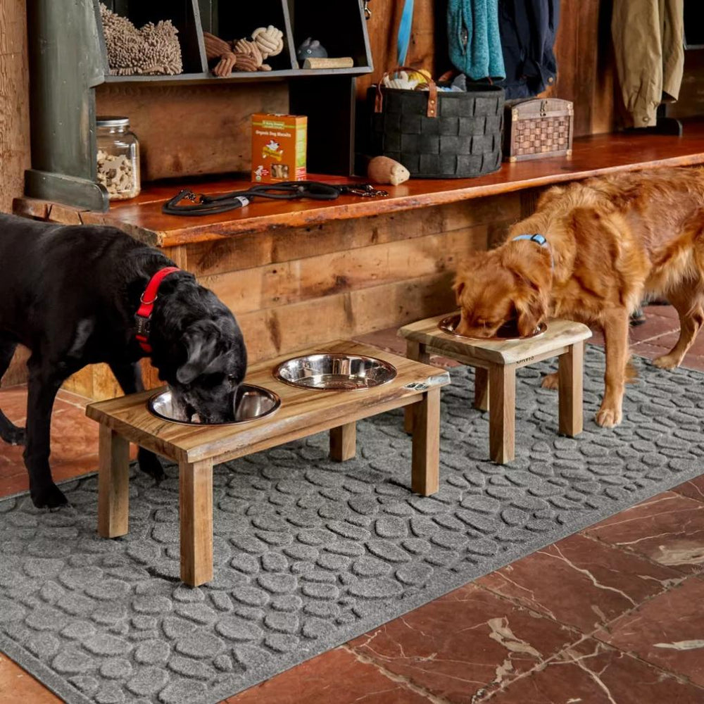 Orvis Bowls, Feeders & Food Storage | Natural Edge Dog Feeder - Dogs