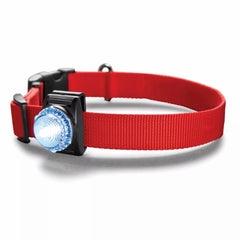 Orvis Collars | LED Safety Collar Light Clear - Dogs