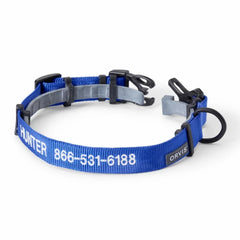 Orvis Collars | Orvis Flea & Tick Collar & Leash Bundle Blue - Dogs