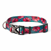 Orvis Collars | Orvis X Fishe® Wear Collar Beauty&bonefish - Dogs