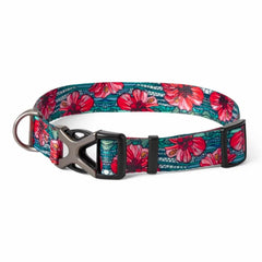 Orvis Collars | Orvis X Fishe® Wear Collar Beauty&bonefish - Dogs