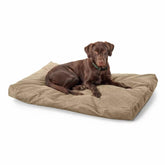 Orvis Comfortfill-Eco™ Beds | Orvis ComfortFill-Eco® Lounger Dog Bed Brown Tweed - Dogs