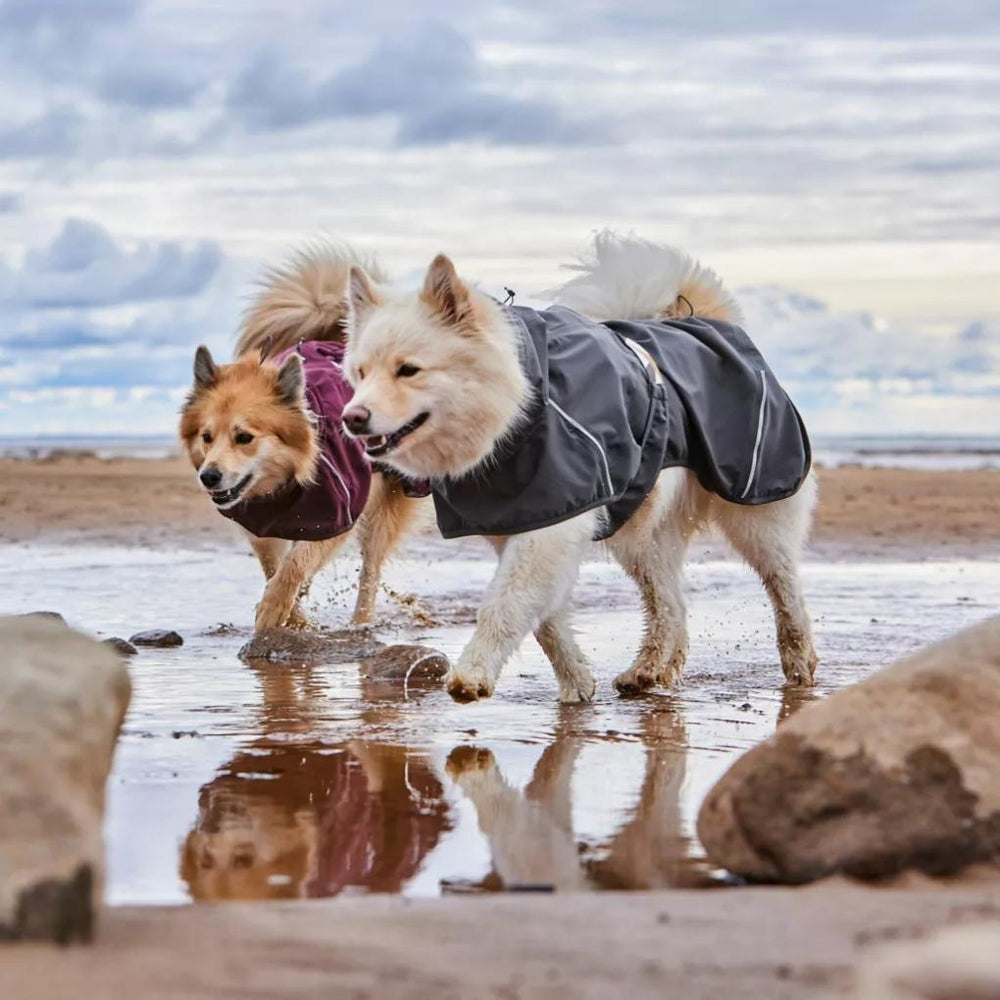 Orvis Dog Jackets | Hurtta Mudventure Eco Dog Raincoat - Dogs