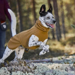 Orvis Dog Jackets | Hurtta Warming Midlayer Eco Dog Jacket - Dogs
