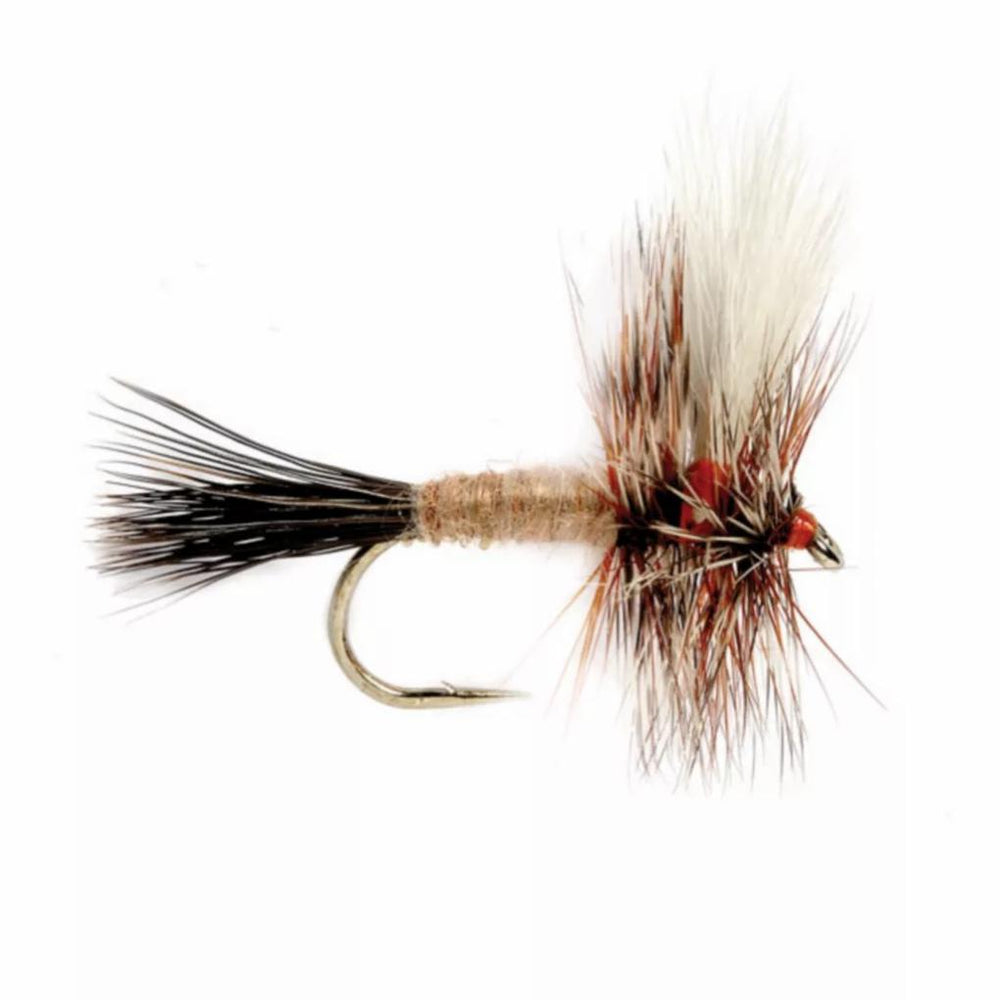Orvis Dry Flies | Ausable Wulff - Fly Fishing