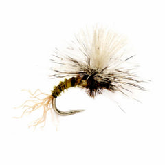 Orvis Dry Flies | Birchell’s Hatching Midge Olive - Fly Fishing