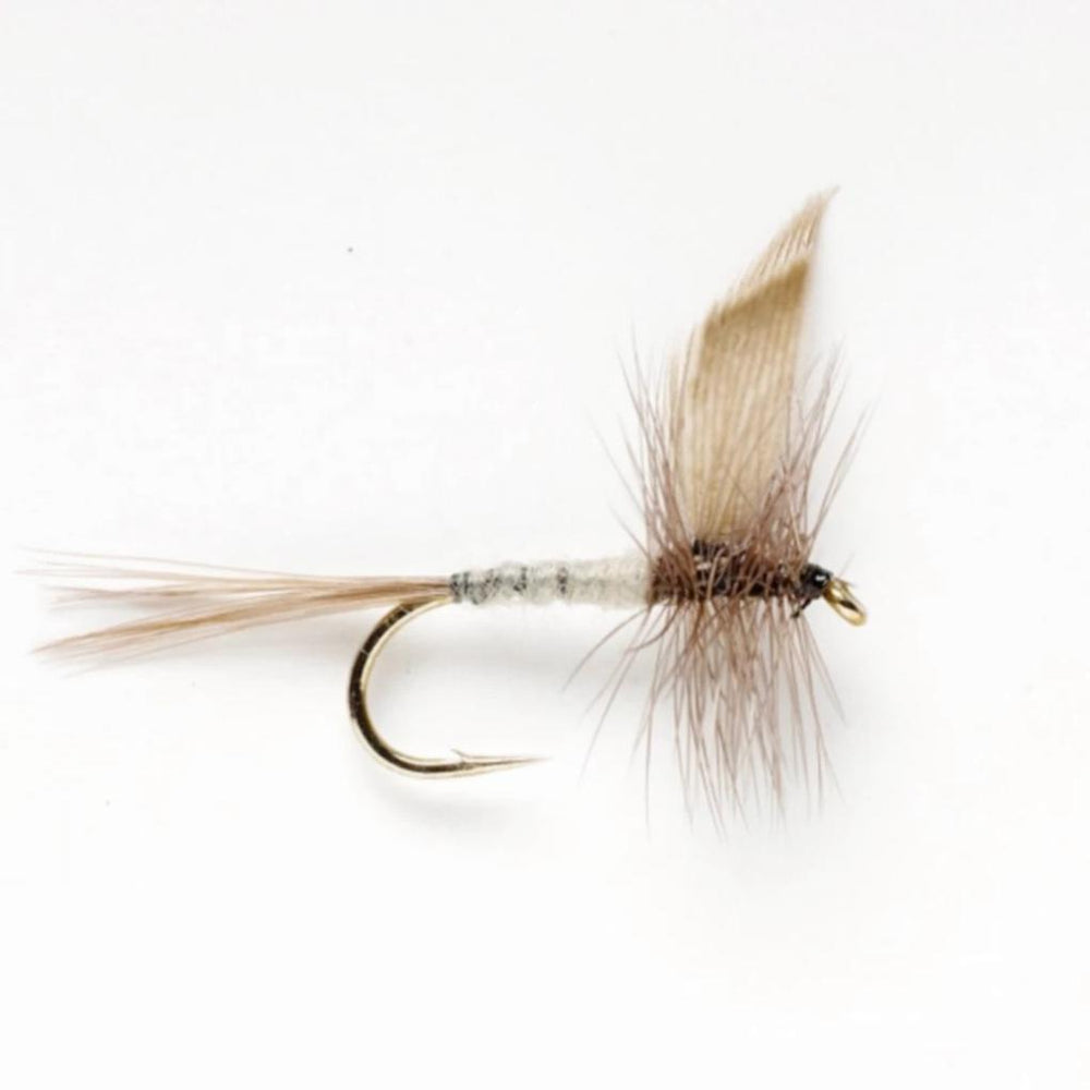 Orvis Dry Flies | Blue Dun - Fly Fishing