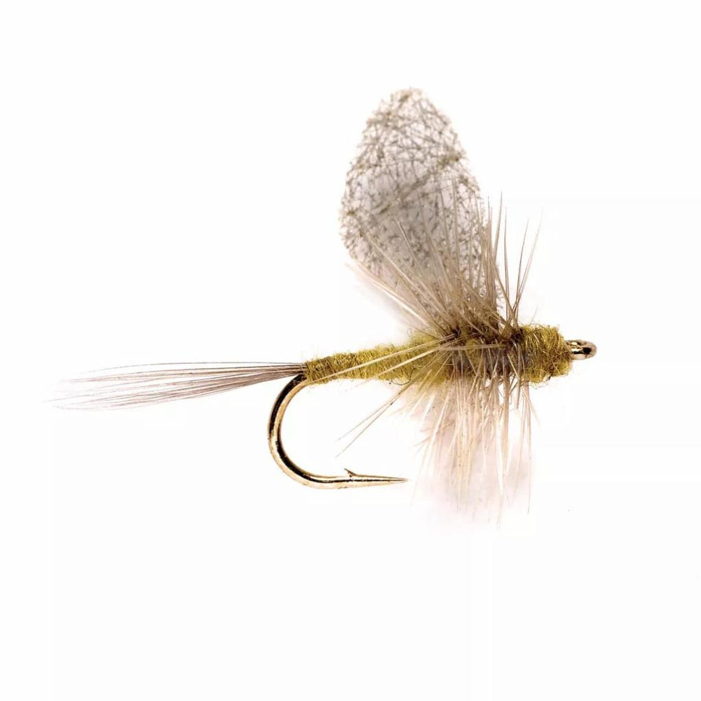 Orvis Dry Flies | Cripple Dun BWO - Fly Fishing