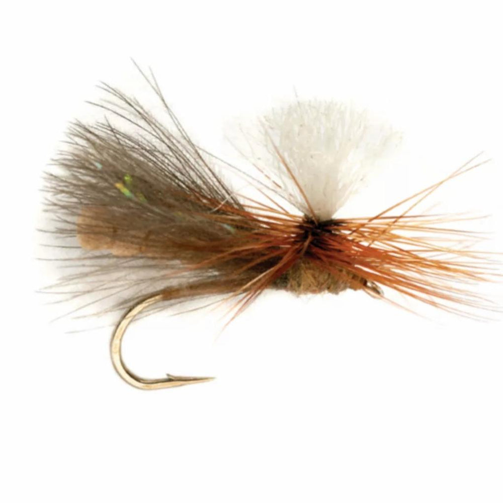 Orvis Dry Flies | NBK Caddis Dry Tan - Fly Fishing
