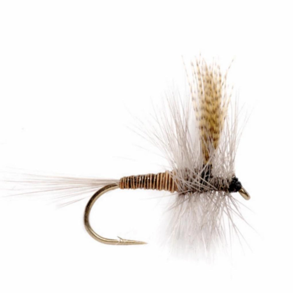 Orvis Dry Flies | Red Quill - Fly Fishing