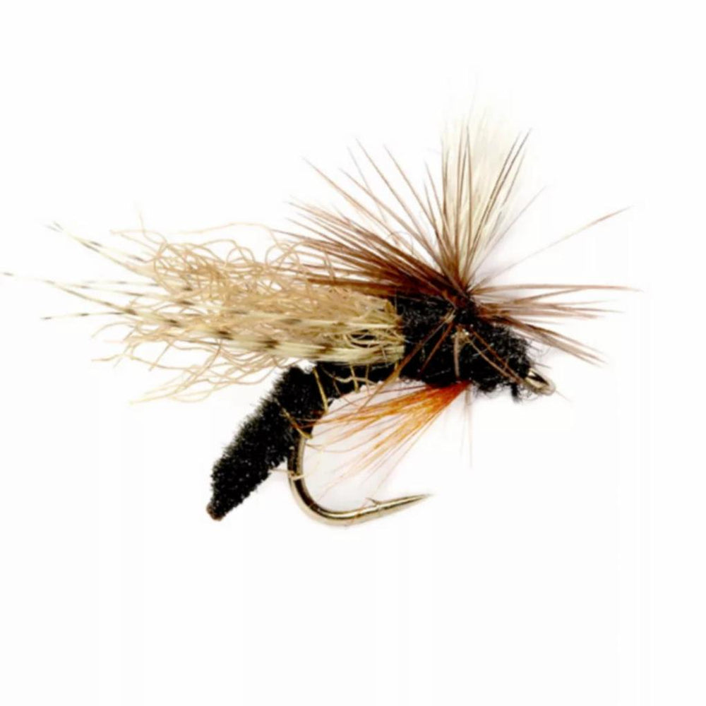 Orvis Dry Flies | Spotlight Caddis Emerger Black - Fly Fishing