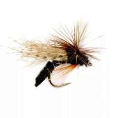 Orvis Dry Flies | Spotlight Caddis Emerger Black - Fly Fishing