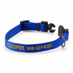 Orvis Leashes | Personalized Side-Release Buckle Collar And Leash Blue - Dogs