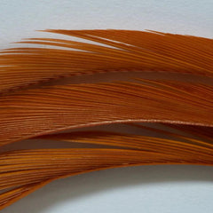 Orvis Materials | Goose Biots Amber - Fly Fishing