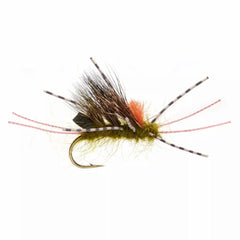 Orvis Nymphs | Burkus’ Sedgeback Skwala - Fly Fishing