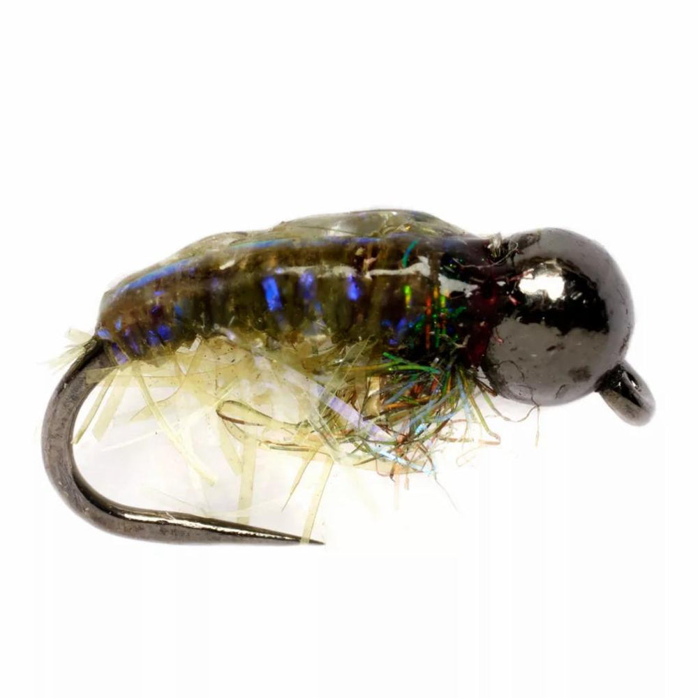 Orvis Nymphs | Daniel’s Chewy Caddis Barbless - Fly Fishing