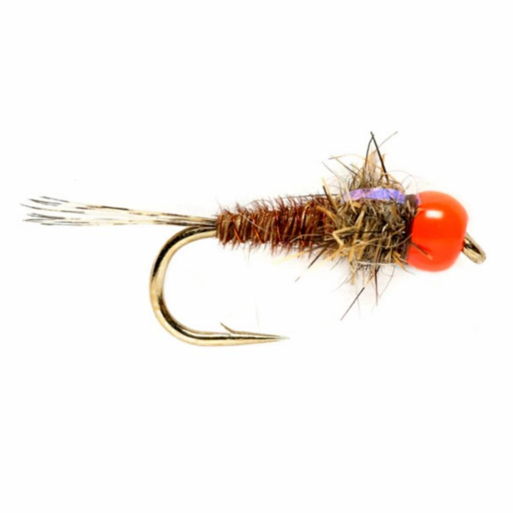 Orvis Nymphs | Hot Head Euro Pheasant Tail Orange - Fly Fishing