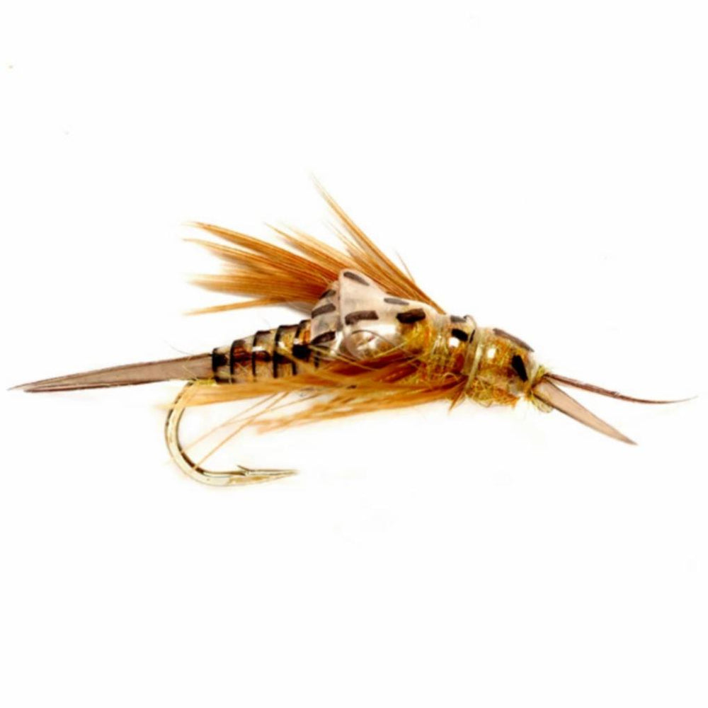 Orvis Nymphs | OE Stonefly Nymph Golden - Fly Fishing