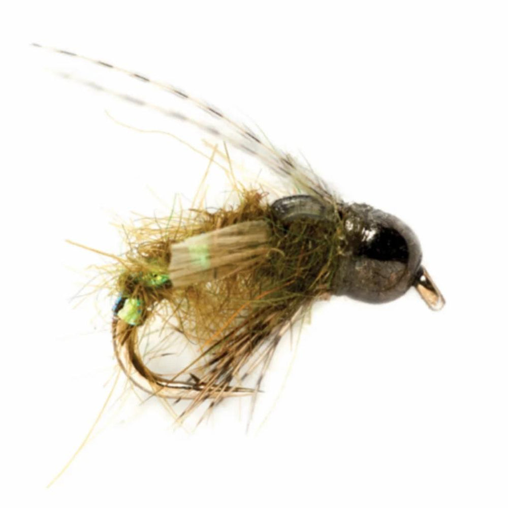 Orvis Nymphs | Thrift Shop Caddis - Fly Fishing