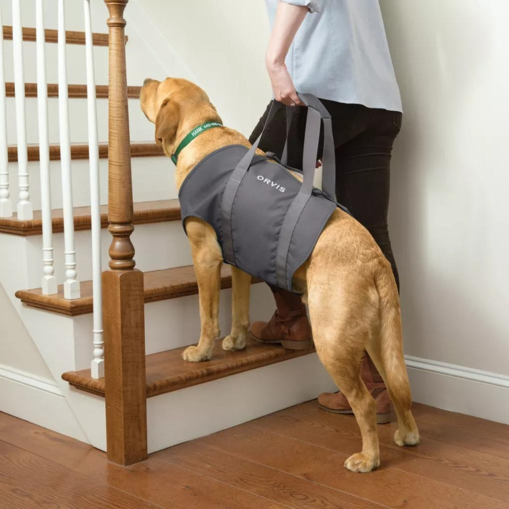 Orvis Steps, Lifts & Traction | Dog Lift - Dogs