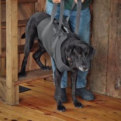 Orvis Steps, Lifts & Traction | Dog Lift - Dogs