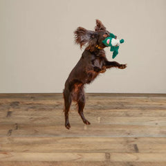 Orvis Toys | Animal Squeaky Toys Largemouth Bass - Dogs