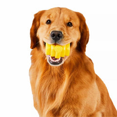 Orvis Toys | Hive Chew Toy - Dogs