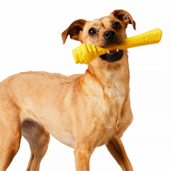 Orvis Toys | Hive Fetch Stick - Dogs