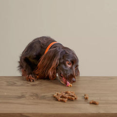 Orvis Treats | Polkadog Green Monstah Bones - Dogs