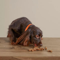 Orvis Treats | Polkadog Green Monstah Bones - Dogs