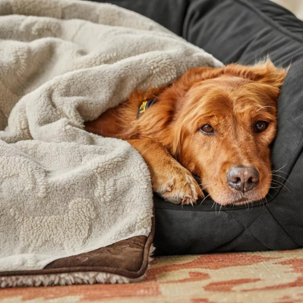 Orvis Blankets &amp; Throws | Embossed Sherpa Throw - Home Goods/Dogs