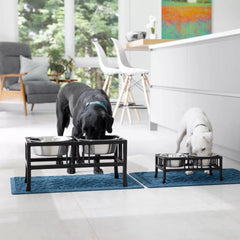 Orvis Bowls, Feeders &amp; Food Storage | Black Steel Raised Double Feeder - Dogs