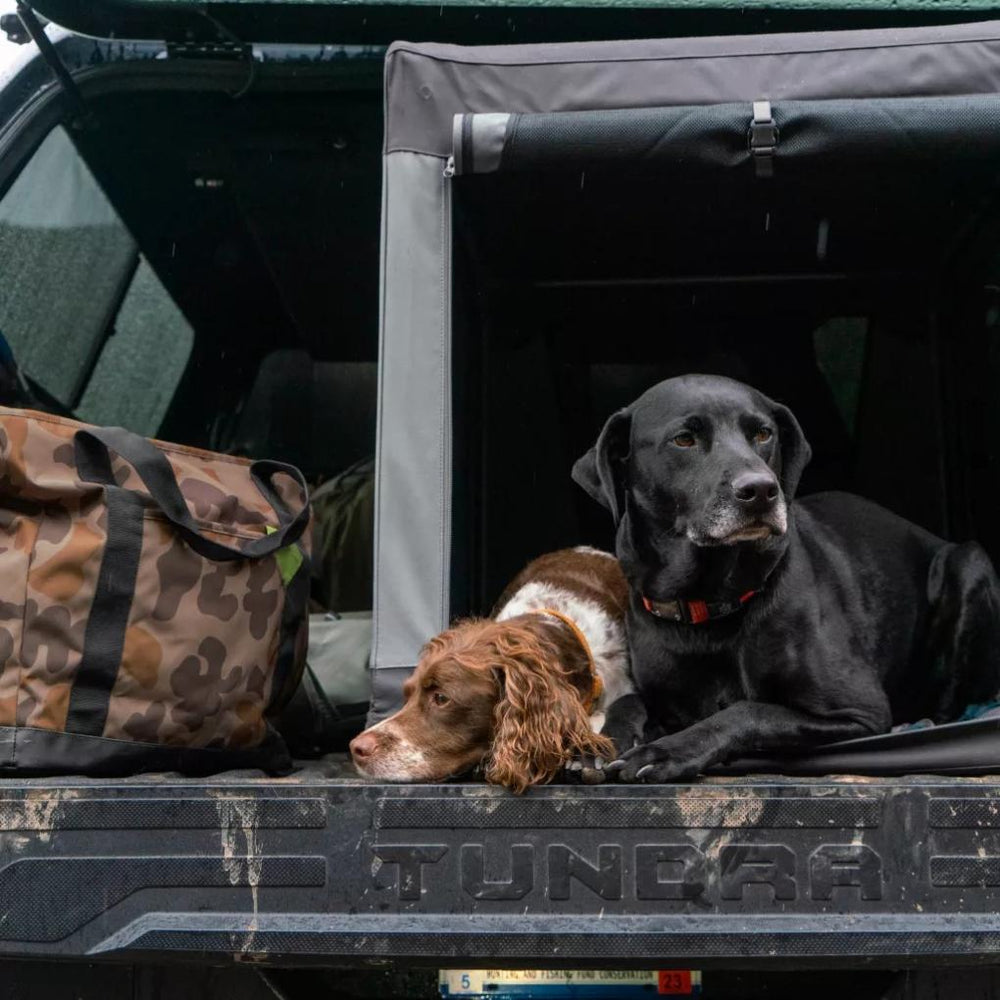 Orvis Cargo Protectors | Tough Trail® Folding Travel Crate Granite - Dogs