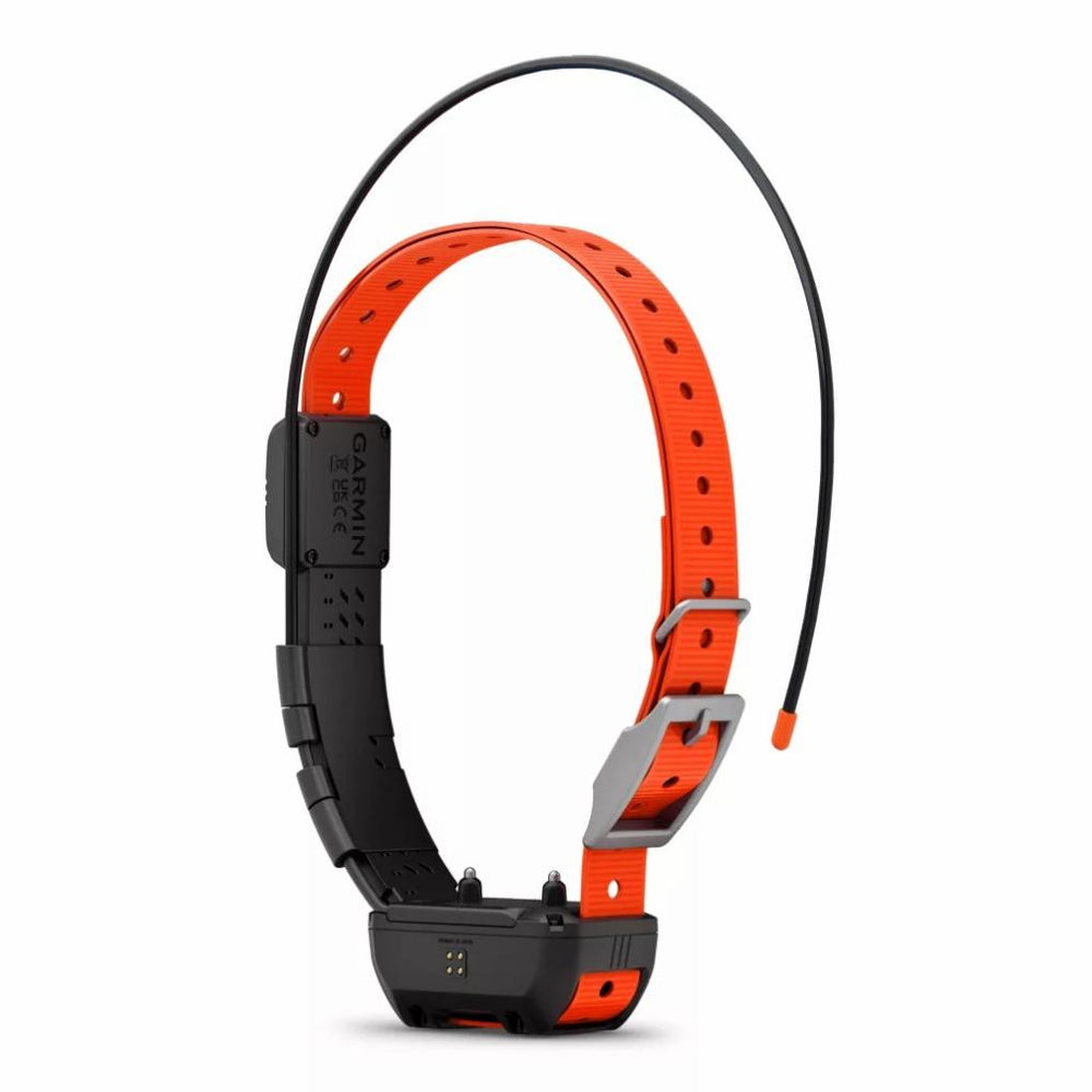 Orvis Collars | Garmin® Alpha® TT 25 GPS Dog Collar - Dogs/Hunt