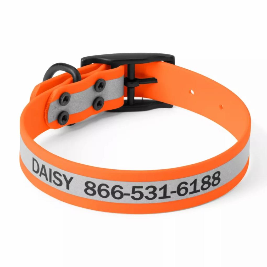 Orvis Collars | Orvis Waterproof Dog Collar Orange - Dogs