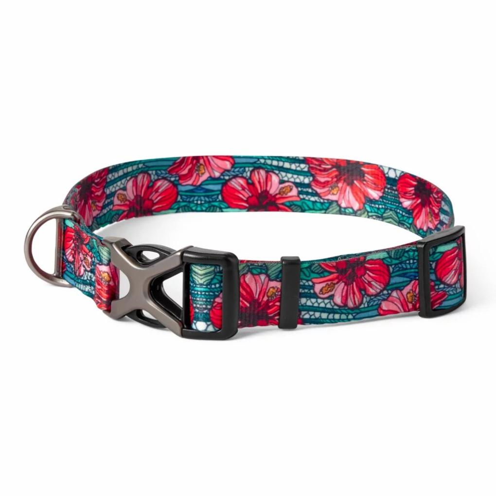 Orvis Collars | Orvis X Fishe® Wear Collar Beauty&amp;bonefish - Dogs