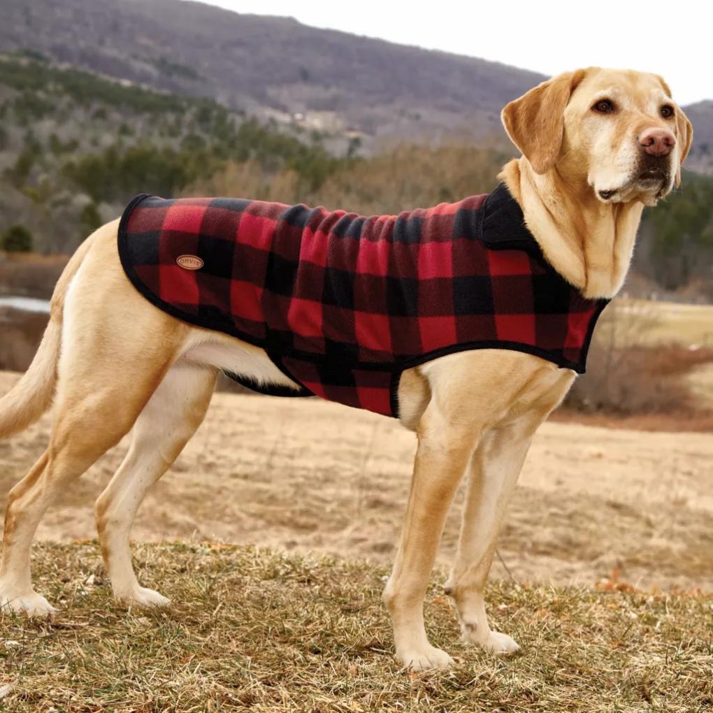 Orvis Dog Jackets | Buffalo Check Dog Jacket Red/black - Dogs