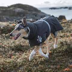 Orvis Dog Jackets | Hurtta Extreme Warmer Dog Coat Blackberry - Dogs