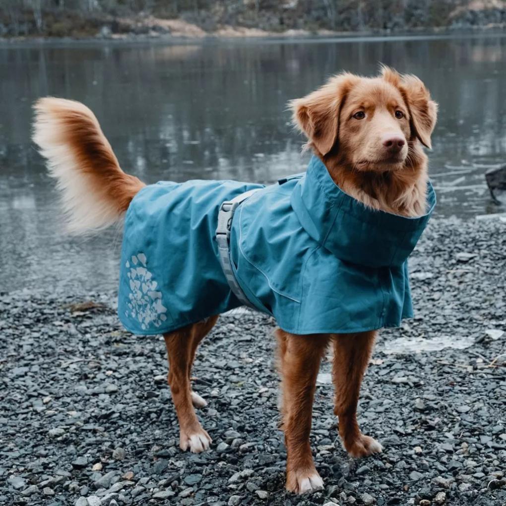 Orvis Dog Jackets | Hurtta Monsoon Dog Coat Bilberry - Dogs