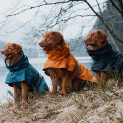Orvis Dog Jackets | Hurtta Monsoon Dog Coat Bilberry - Dogs