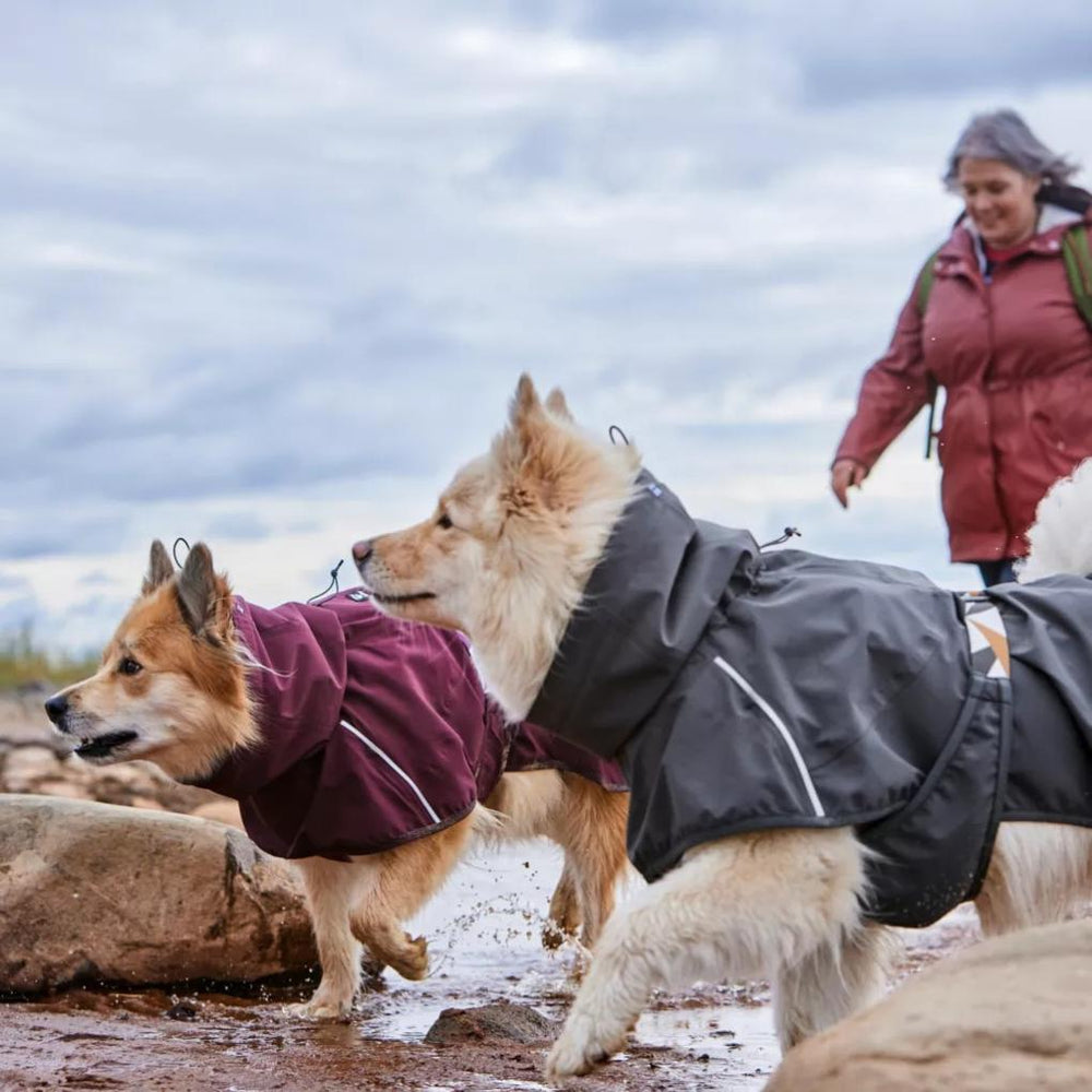 Orvis Dog Jackets | Hurtta Mudventure Eco Dog Raincoat - Dogs
