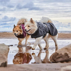 Orvis Dog Jackets | Hurtta Mudventure Eco Dog Raincoat - Dogs
