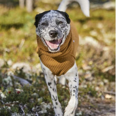Orvis Dog Jackets | Hurtta Warming Midlayer Eco Dog Jacket - Dogs