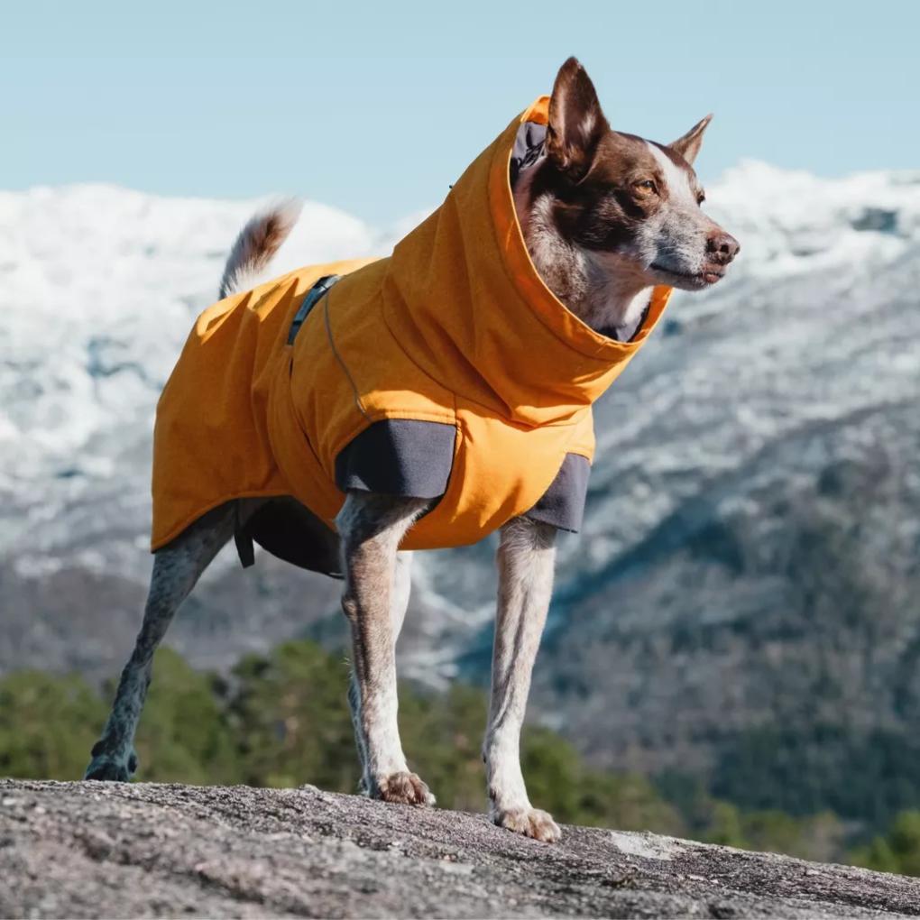 Orvis Dog Jackets | Hurtta® Expedition Dog Parka Orange - Dogs