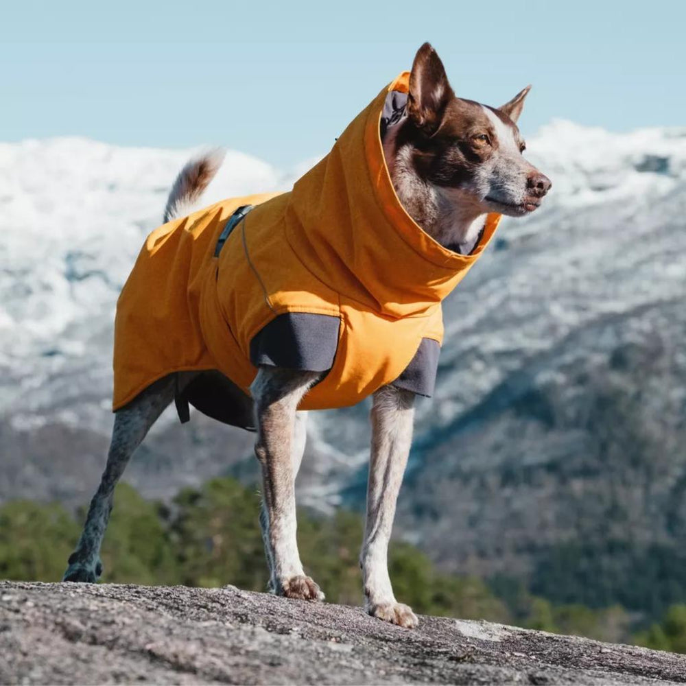Orvis Dog Jackets | Hurtta® Expedition Dog Parka Orange - Dogs