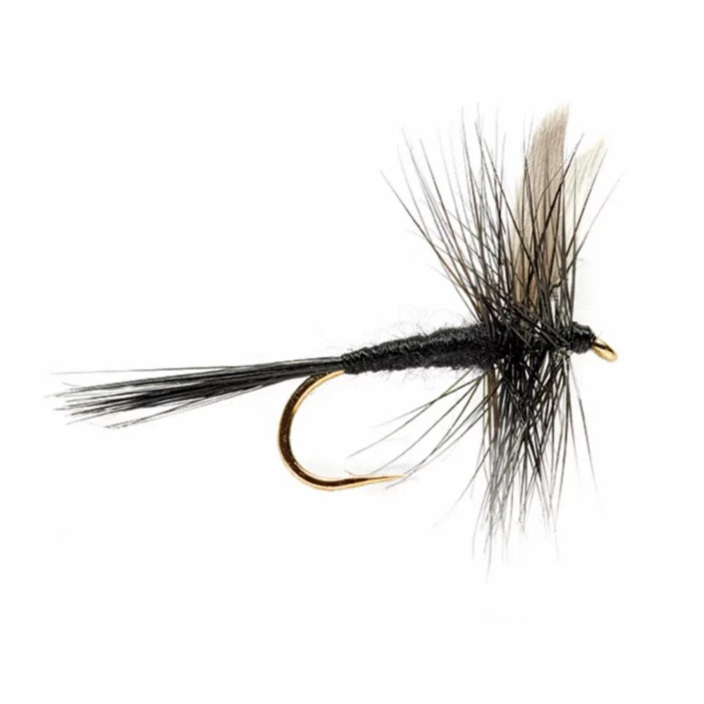Orvis Dry Flies | Black Gnat - Fly Fishing