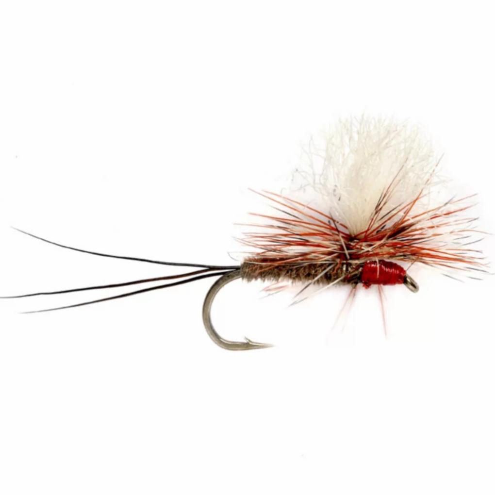 Orvis Dry Flies | Dave’s Oh-So-Iso - Fly Fishing