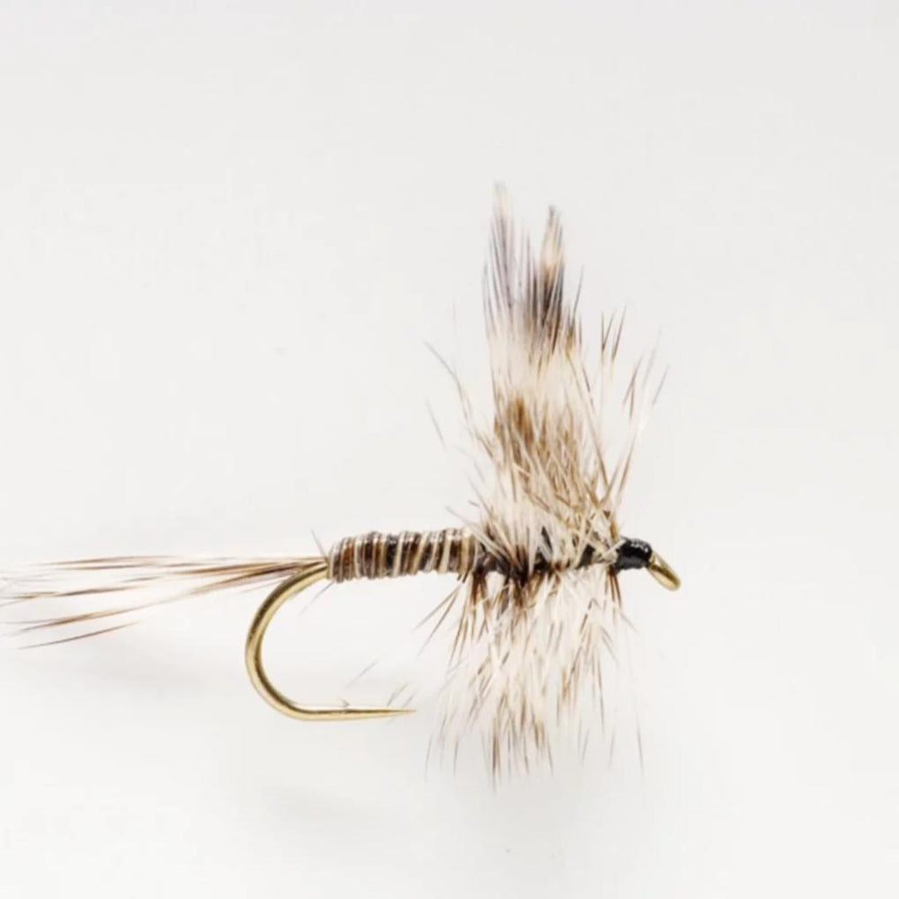 Orvis Dry Flies | Mosquito Dry Fly - Fly Fishing