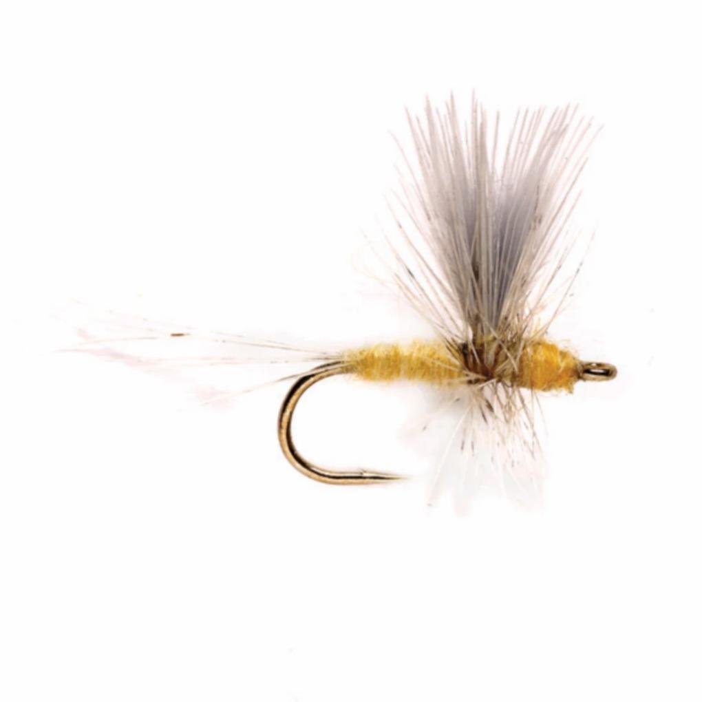 Orvis Dry Flies | Pale Morning Dun Thorax - Fly Fishing